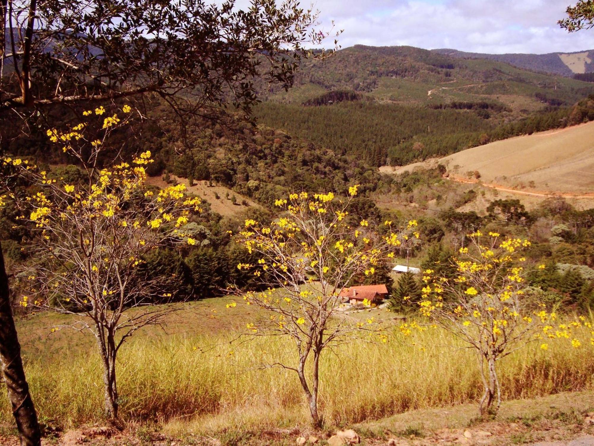 Chales Estrada De Chao Monte Verde  Buitenkant foto